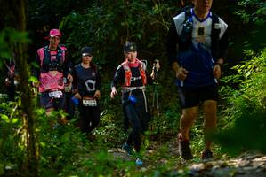 BIB: 278, 1200
                            <button type="button" onclick="openModal(7101670)" class="btn btn-primary btn-sm float-right btn-popup" data-toggle="modal" data-target=".modal-high-quality">
                        <i class="fas fa-shopping-cart"></i> Add to Cart
                    </button>
                                            <button type="button" onclick="isThisMe(7101670, true)" class="btn btn-success btn-sm float-right btn-popup btn-isme hidden" data-toggle="tooltip" data-placement="bottom" title="นี่คือรูปของคุณใช่ไหม คลิกที่นี่เพื่อเอาเข้าอัลบั้ม">
                        <i class="fas fa-plus"></i> Add to album
                    </button>
                    <button type="button" onclick="isThisMe(7101670, false)" class="btn btn-warning btn-sm float-right btn-popup btn-isnotme hidden">
                        <i class="fas fa-ban"></i> Remove from album
                    </button>